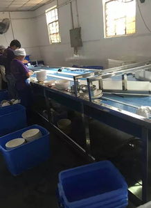 天呐 暗访昆明十家洗碗厂,洗碗水一周一换...知名餐厅中招 洗碗工自己都不用