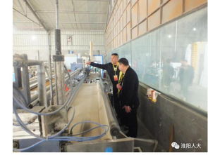 城关镇人大代表调研纪实