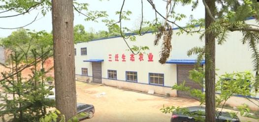 养殖场外泄致长沙两村庄遭苍蝇 围攻 ,村民称用筷子就可夹住