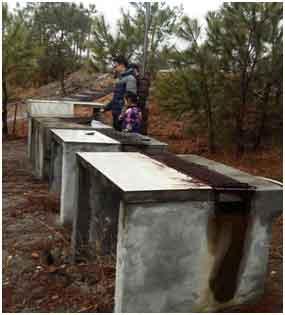 在度假山庄的回亿