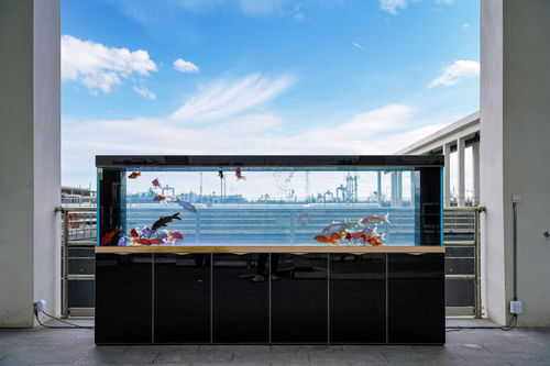 全国生态日 走进 颜值 与 智慧 并存的污水处理厂