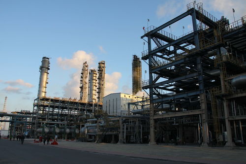 大庆石化塑料厂获 巾帼建功先进集体 荣誉称号