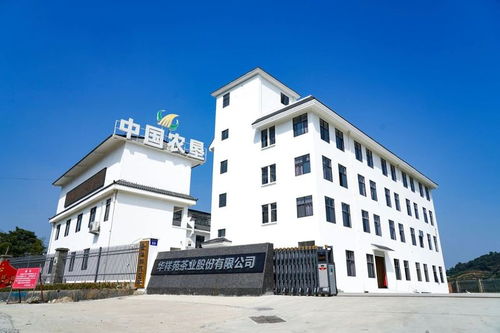 构筑百年企业 开启百亿新征程 1891百年世界白茶之路助力乡村振兴活动在筷子庄举办