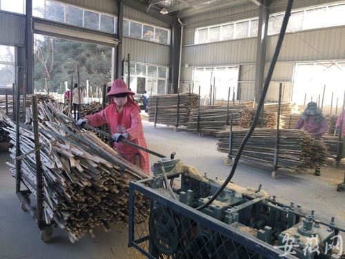 千里跃进决战决胜 六安产业扶贫助力土特产品走向市场